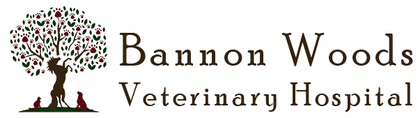 Bannon Woods Veterinary Hospital